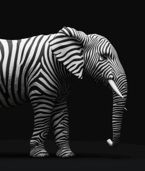 Addressing the Elephant