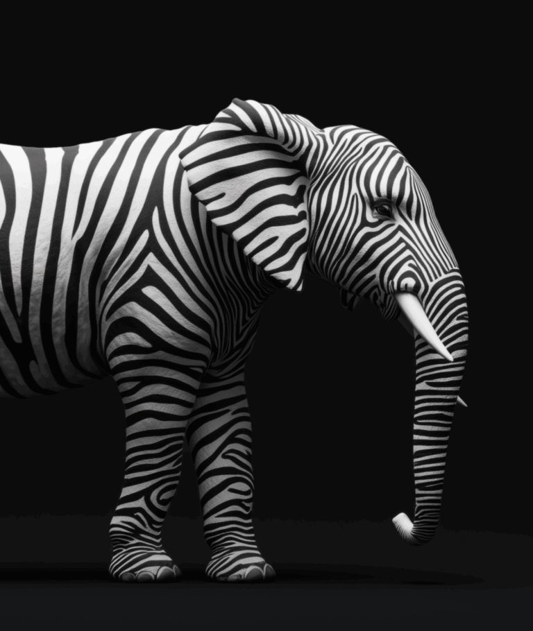 Addressing the Elephant