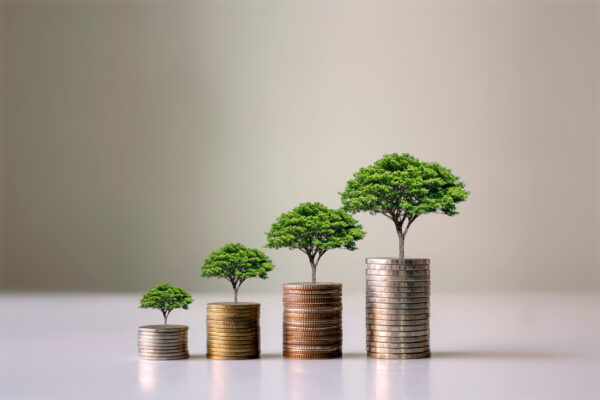 Stacks of coins with trees growing from each stack, depicting financial growth.