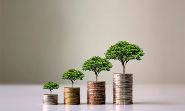 Stacks of coins with trees growing from each stack, depicting financial growth.